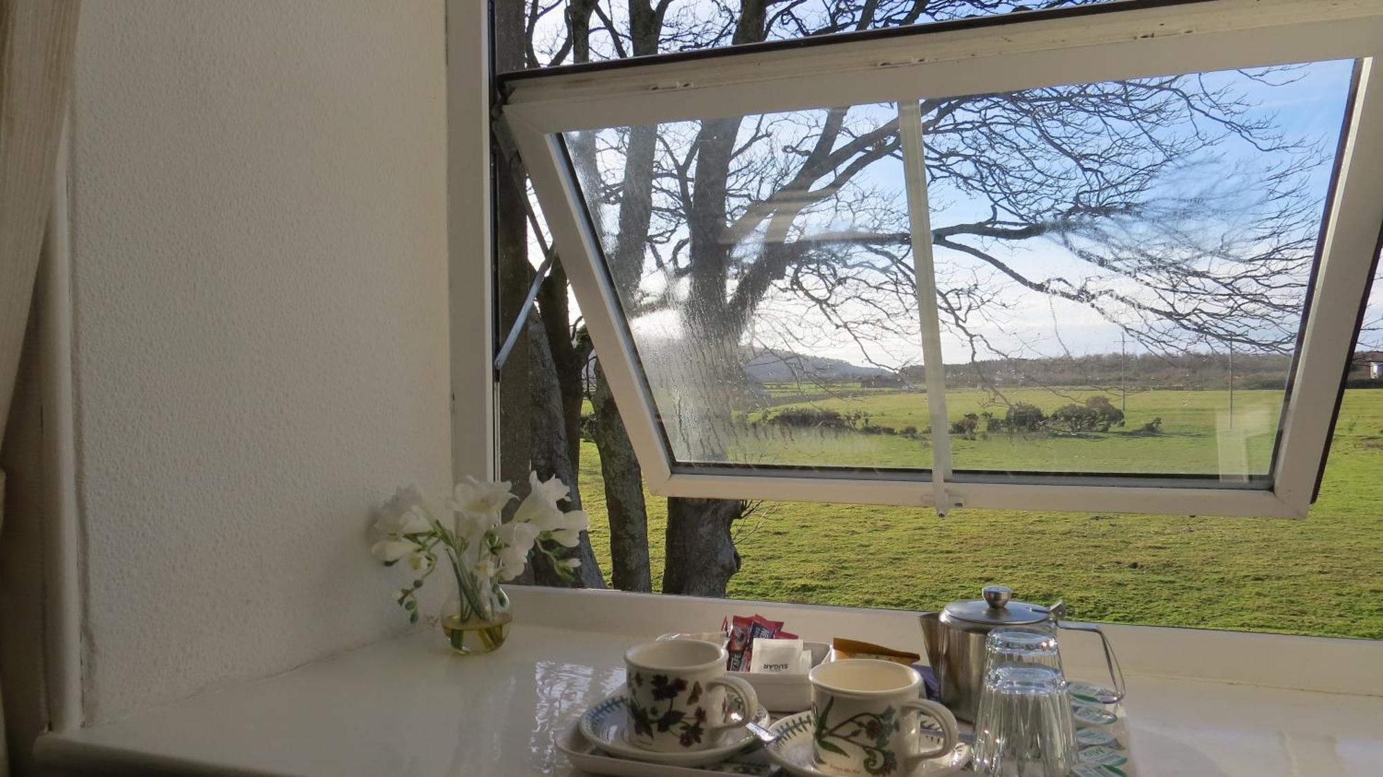 Gwrach Ynys Country Guest House ハーレック エクステリア 写真
