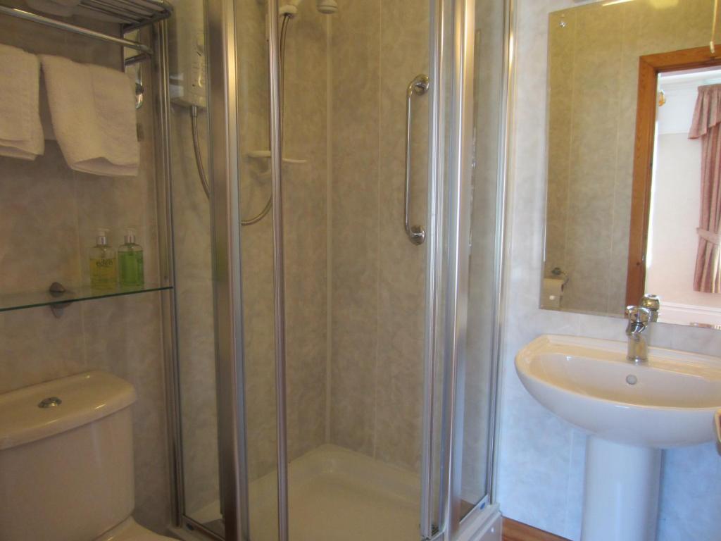 Gwrach Ynys Country Guest House ハーレック 部屋 写真
