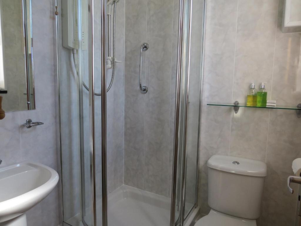 Gwrach Ynys Country Guest House ハーレック 部屋 写真